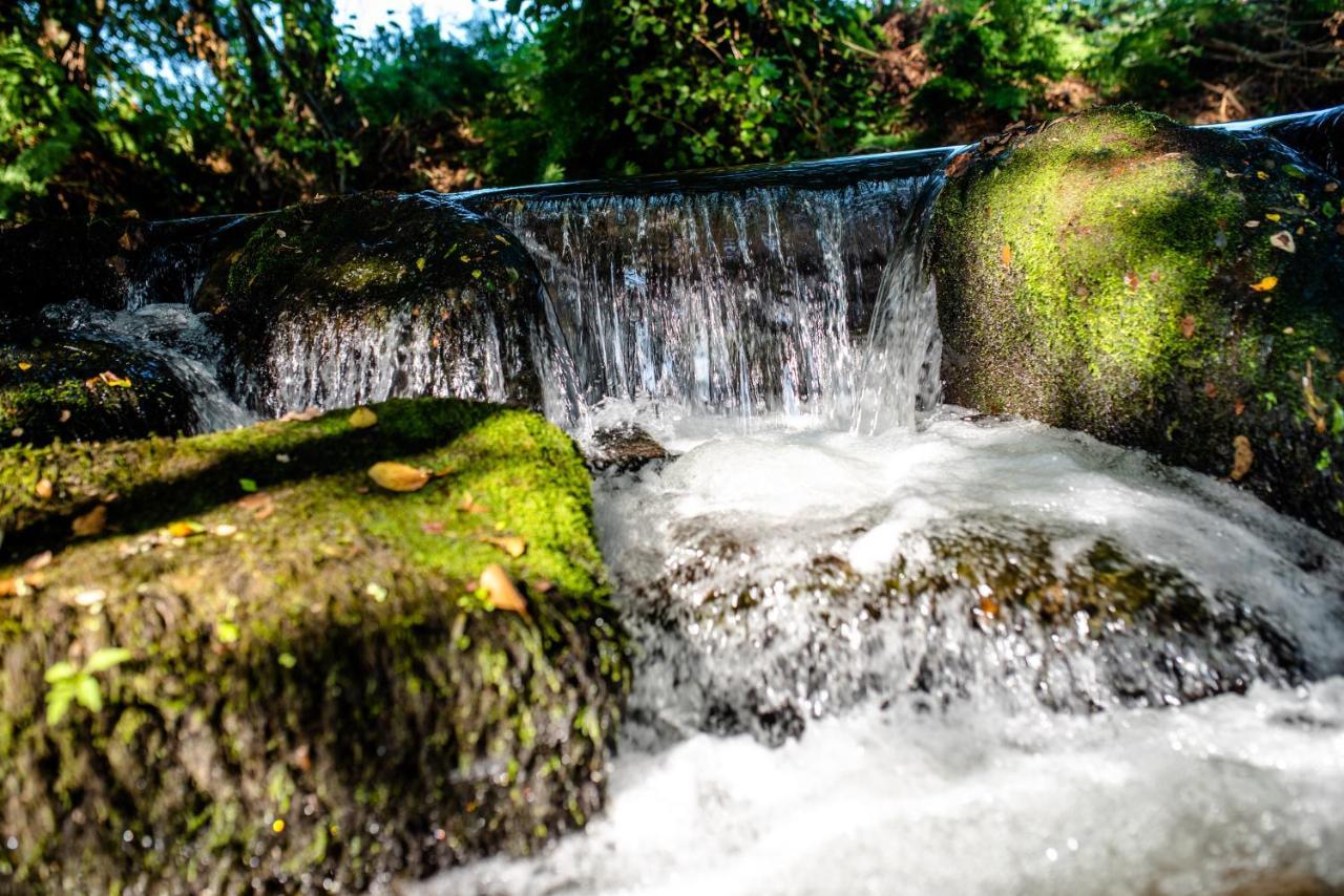 Quinta De Vila Nova - Agroturismo Monção Exteriér fotografie