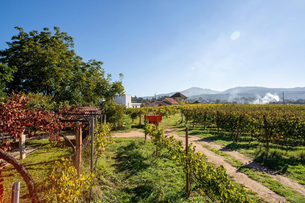 Quinta De Vila Nova - Agroturismo Monção Exteriér fotografie