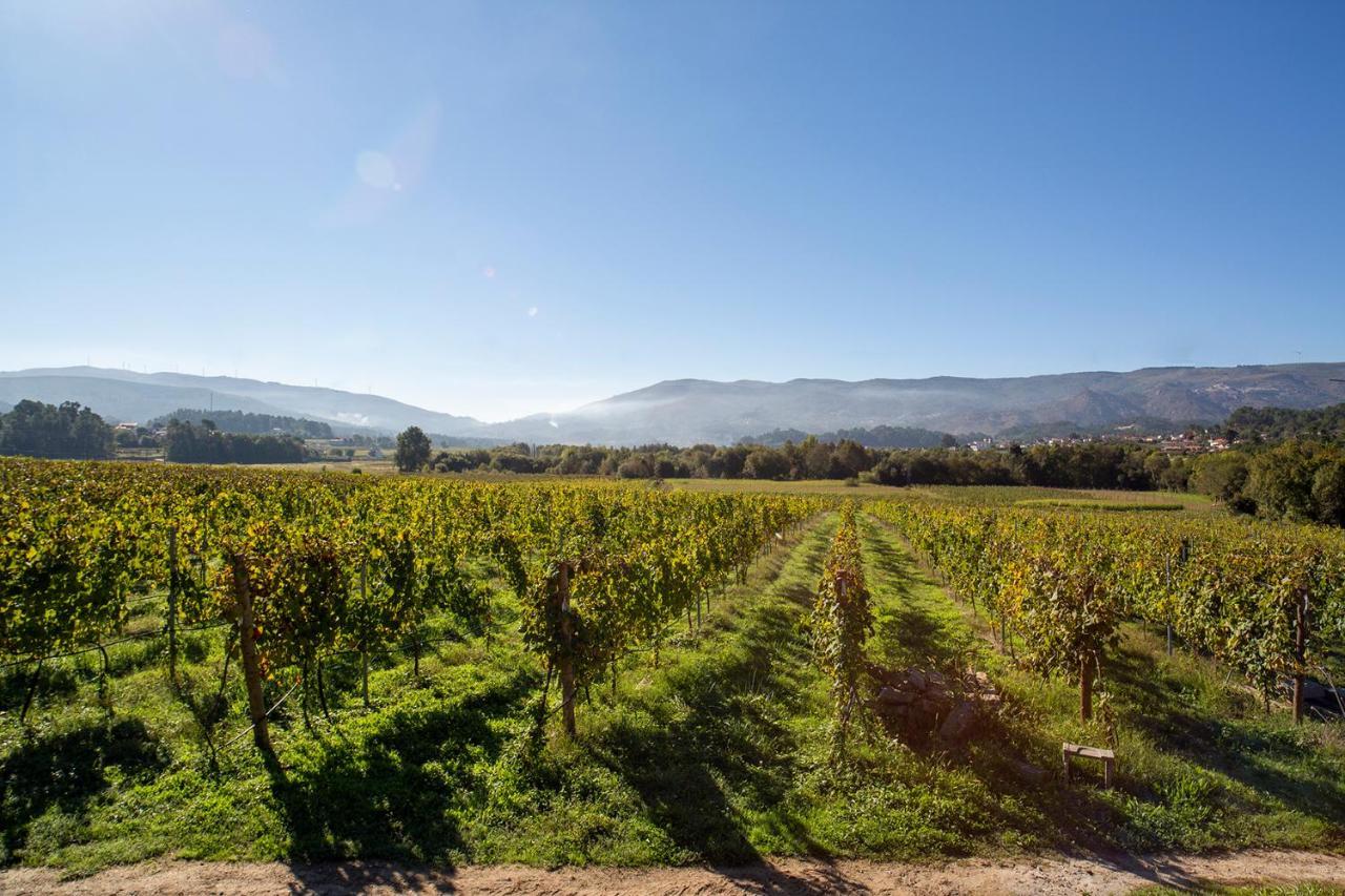 Quinta De Vila Nova - Agroturismo Monção Exteriér fotografie